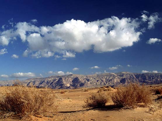 Egypt-Pur - Nilkreuzfahrten - Individuell und Erlebnisreich